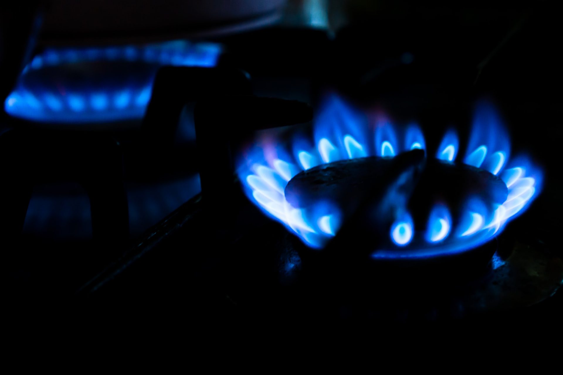 Gas Hob burning with blue flames. Photo by Kwon Junho