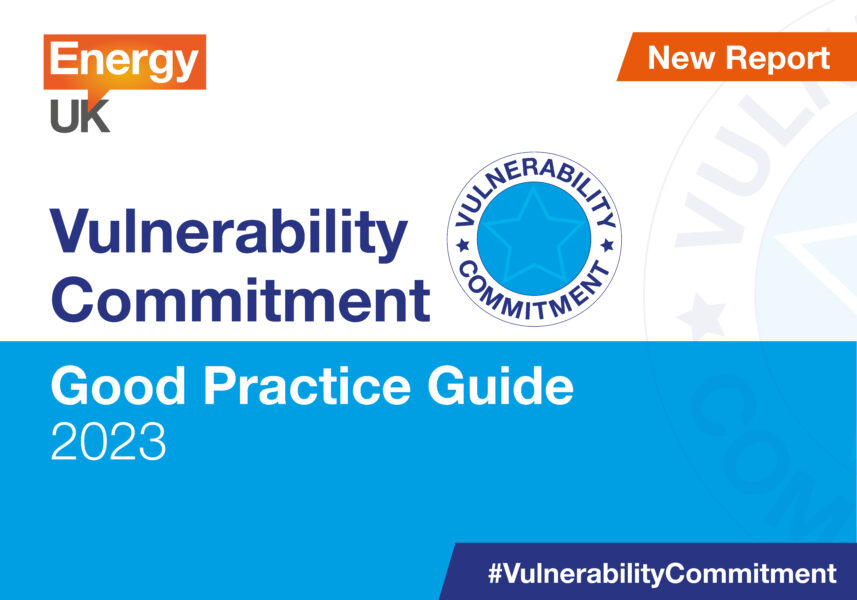 Vulnerability Commitments web banner copy