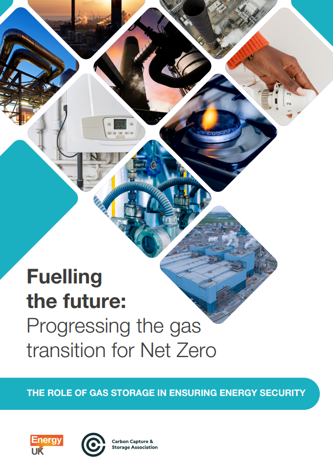 The role of gas storage in energy security COVERv2