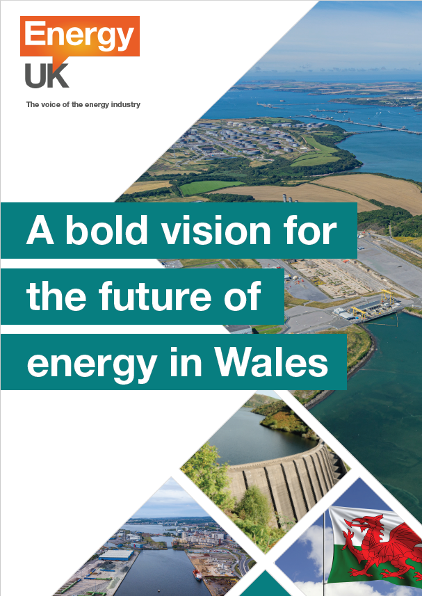 Welsh Manifesto 2026 cover