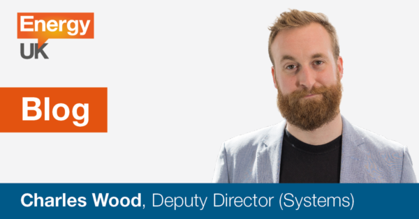 Blog graphic with portrait of Deputy Director (Systems) Charles Wood